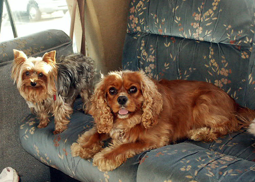 rv ing we will go